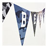 Special Edition Bunting Thumbnail Image